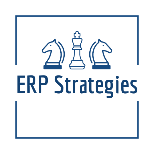 ERP Strategies